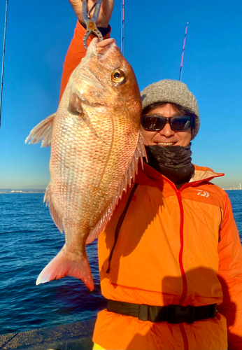 マダイの釣果