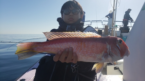 アマダイの釣果