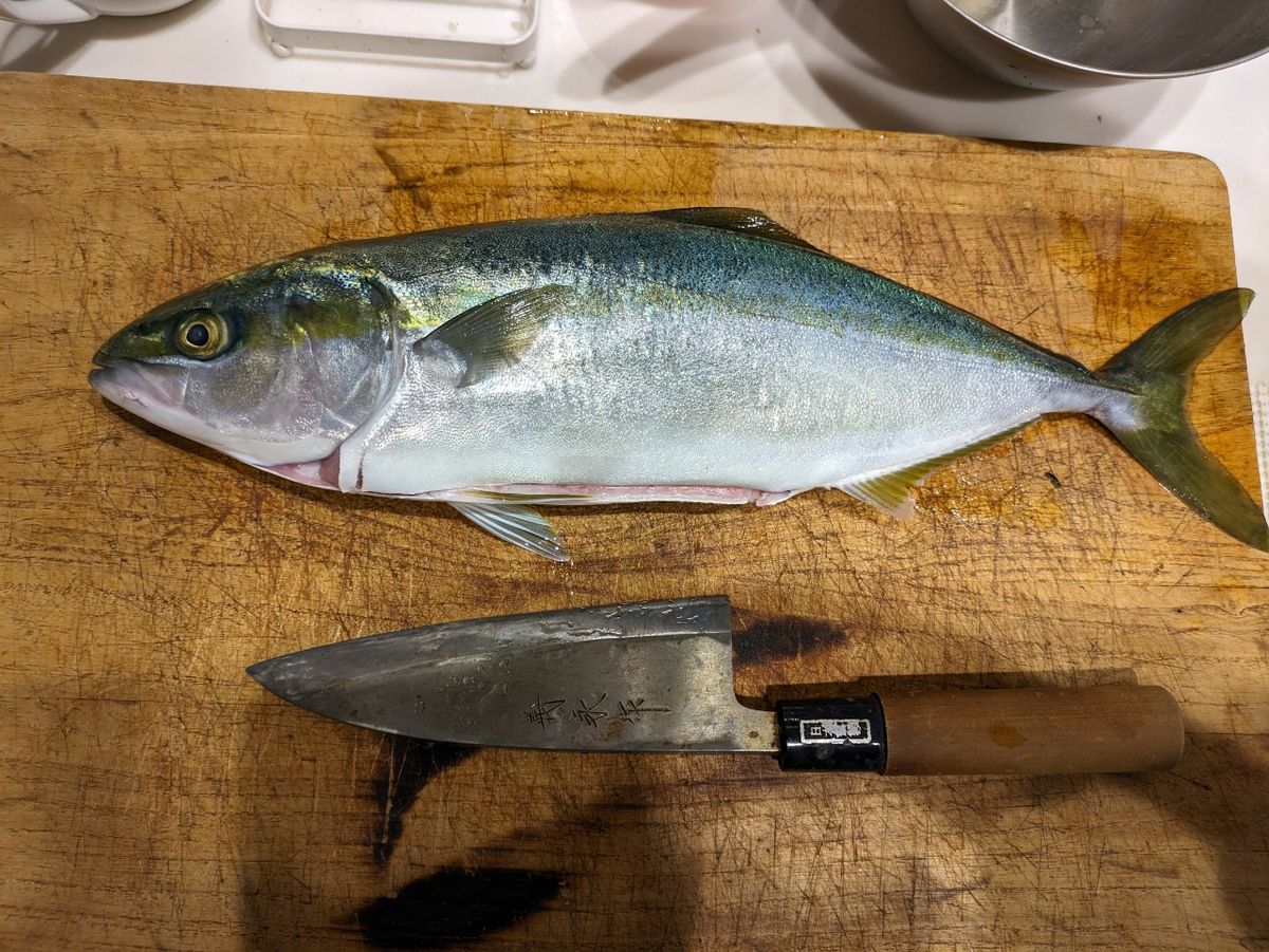 週末アングラーーーさんの釣果 1枚目の画像