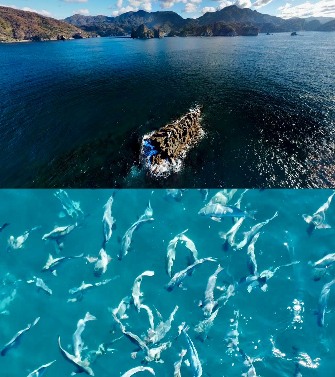 イカ次郎さんの釣果 3枚目の画像