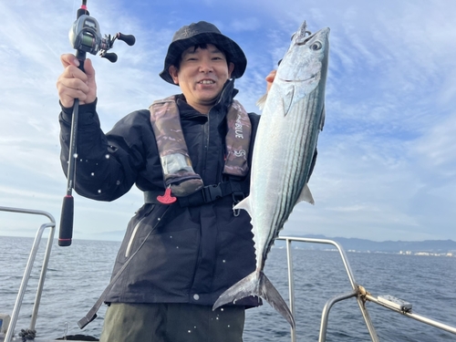 ハガツオの釣果