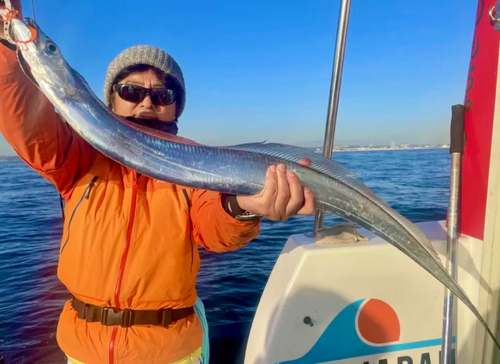 タチウオの釣果