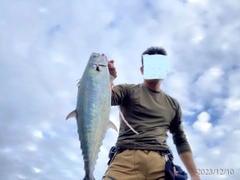 ニジョウサバの釣果