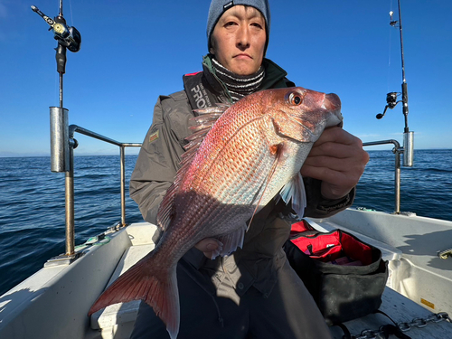 マダイの釣果