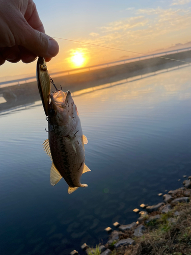 釣果