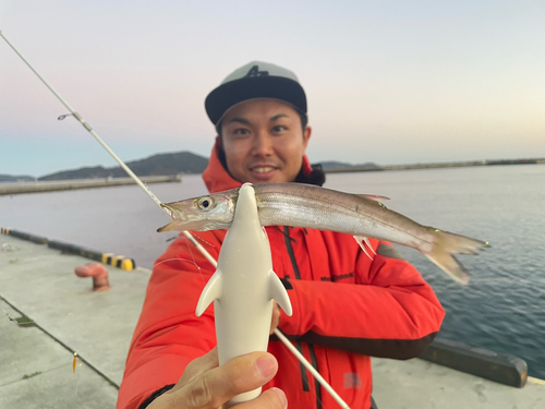 カマスの釣果