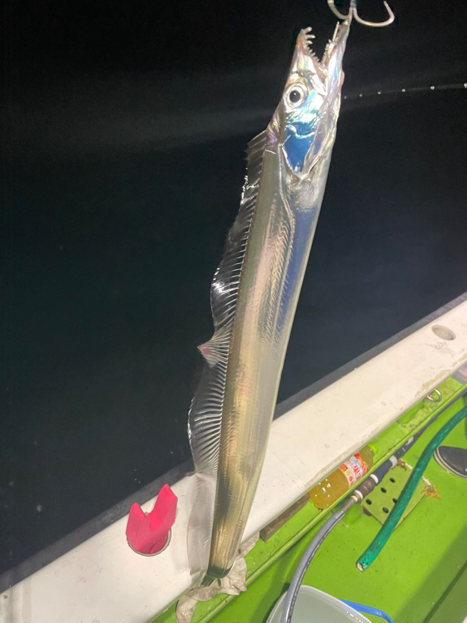 あろわな‪🎣‬さんの釣果 1枚目の画像