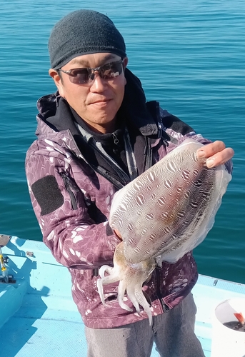 モンゴウイカの釣果