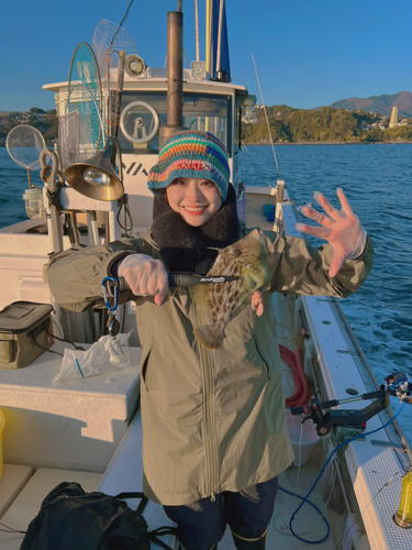 カワハギの釣果