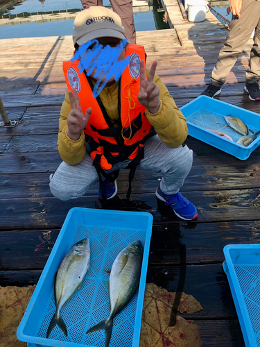 シマアジの釣果