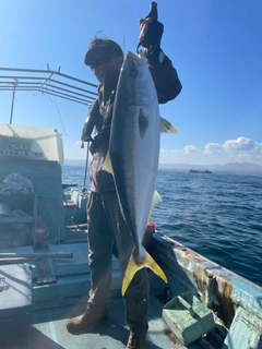 サゴシの釣果