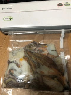 マダコの釣果