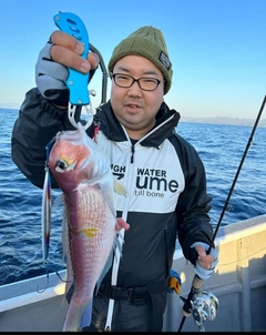 アマダイの釣果