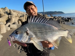 キチヌの釣果