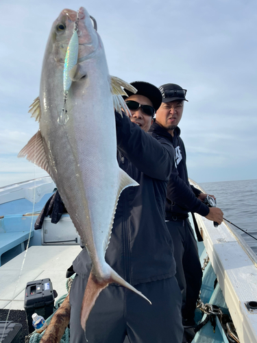 カンパチの釣果