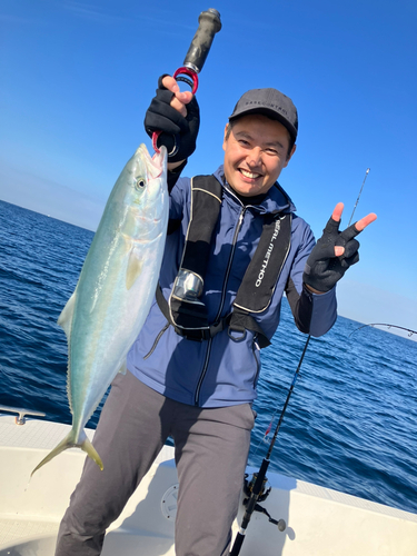 ヤズの釣果