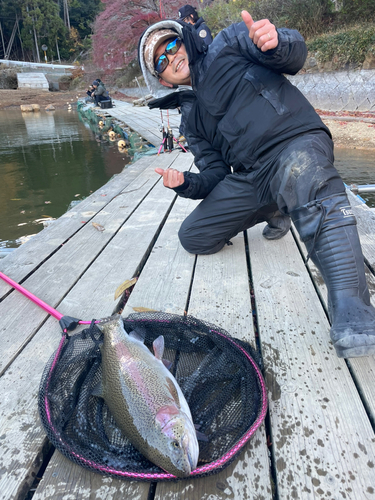 レインボートラウトの釣果