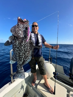 ツチホゼリの釣果