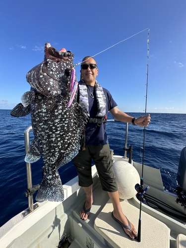 ツチホゼリの釣果