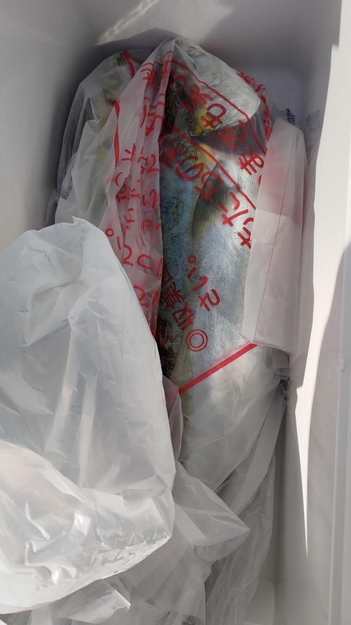 うさださんの釣果 2枚目の画像