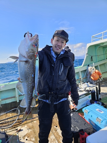 マダラの釣果