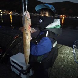 こたけんの釣果