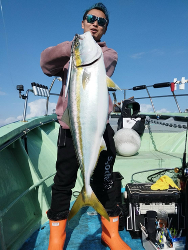 ブリの釣果