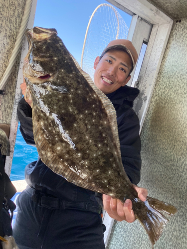 ヒラメの釣果