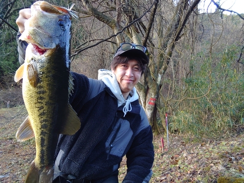 ラージマウスバスの釣果