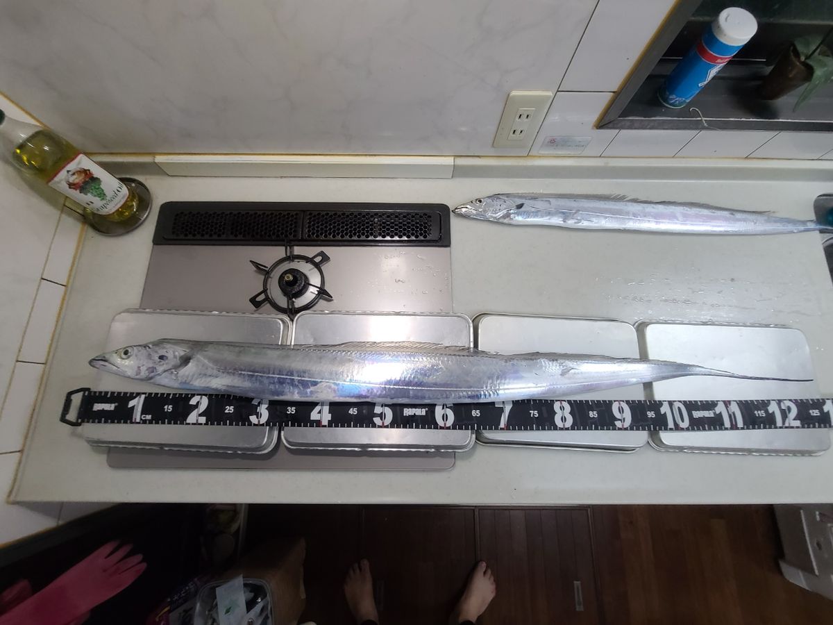 関東釣貴族さんの釣果 2枚目の画像