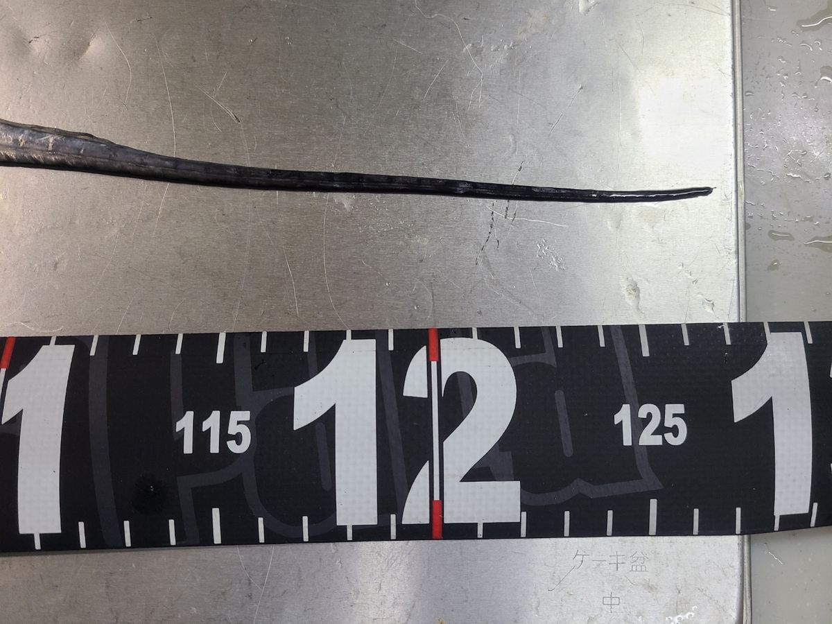 関東釣貴族さんの釣果 3枚目の画像