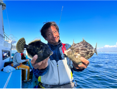 カワハギの釣果