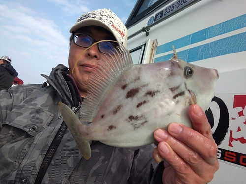 カワハギの釣果