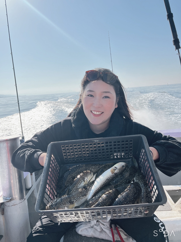 ショウサイフグの釣果