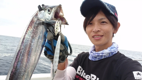 タチウオの釣果