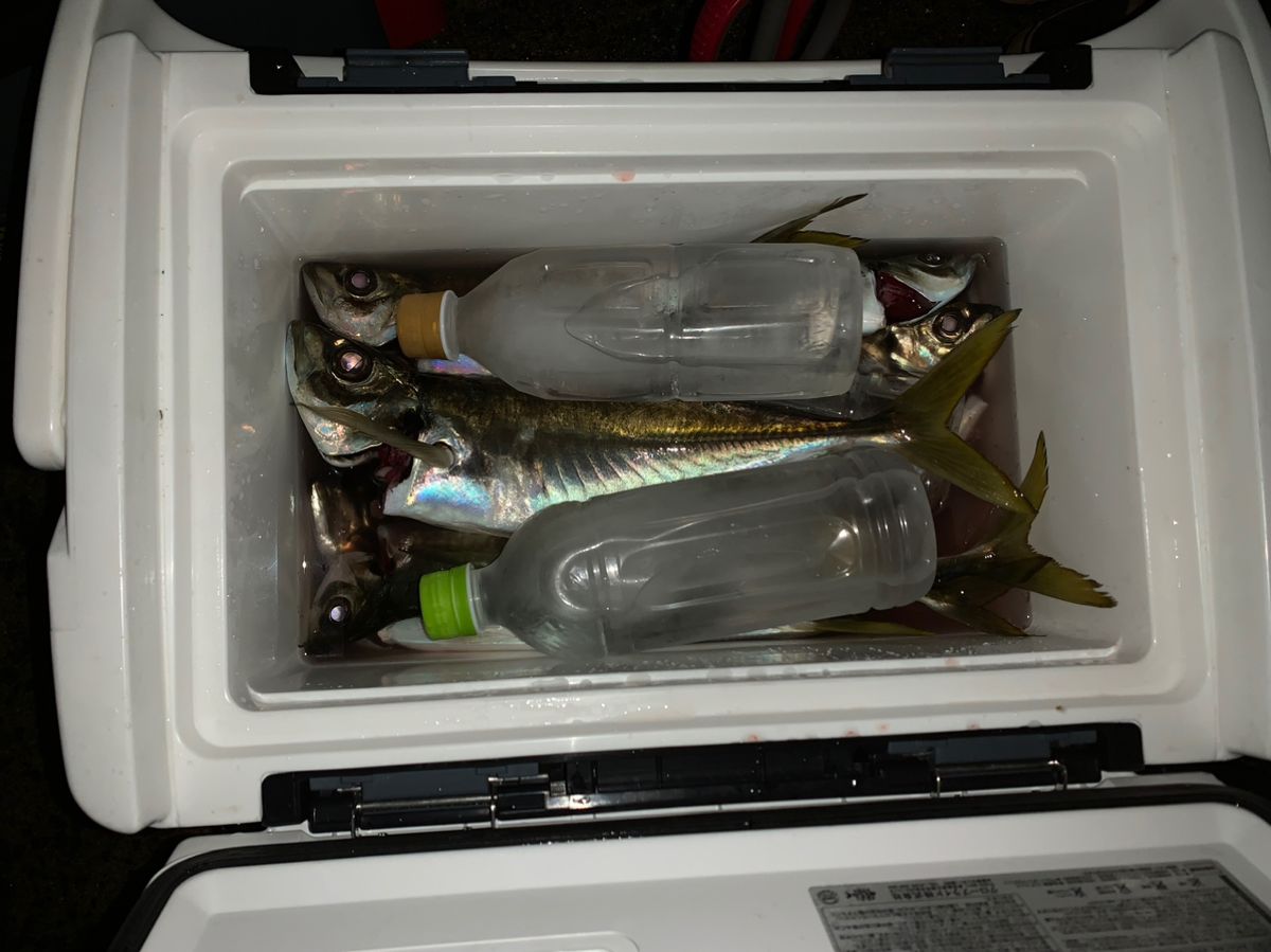海なし県アングラーゆきさんの釣果 2枚目の画像