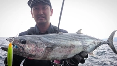 ハガツオの釣果