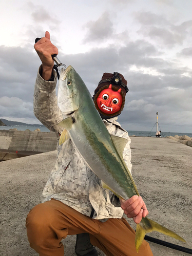 ブリの釣果