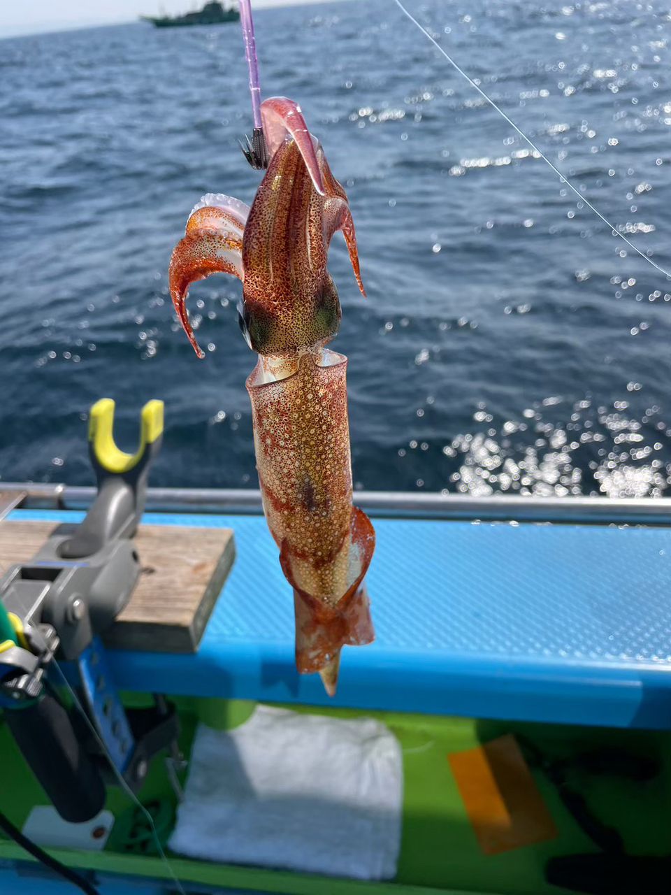 釣女★MIZUHAさんの釣果 2枚目の画像