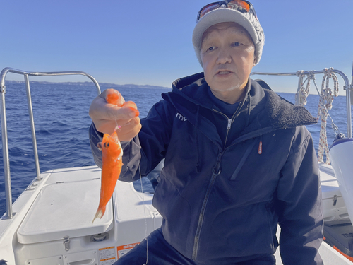 ヒメコダイの釣果