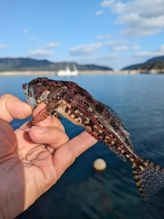 釣果