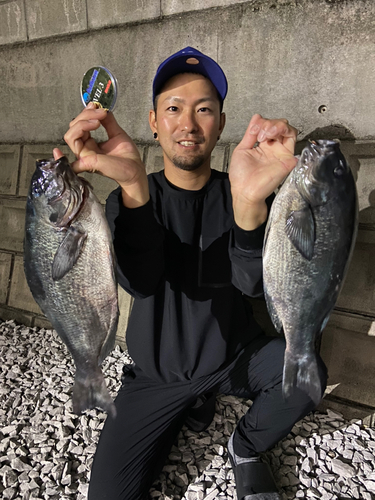 クチブトグレの釣果