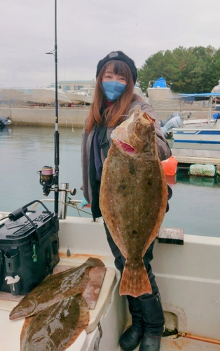 ヒラメの釣果