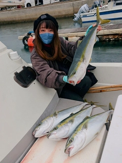 ヤズの釣果