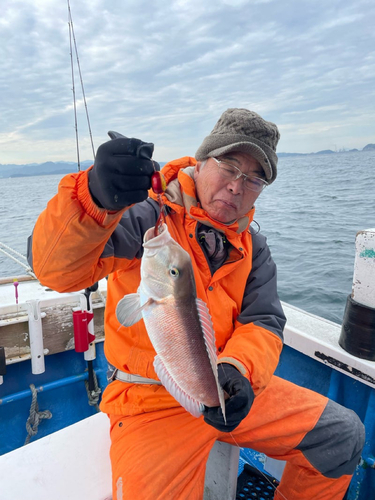 シロアマダイの釣果