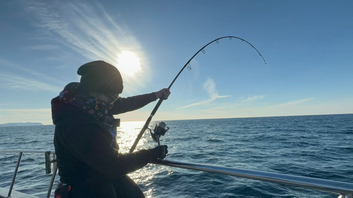 のぞみん🤍🎣さんの釣果 2枚目の画像