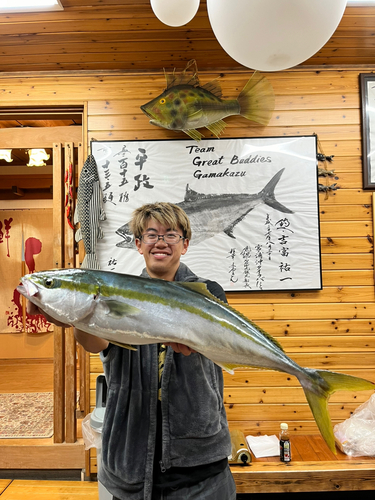 ブリの釣果