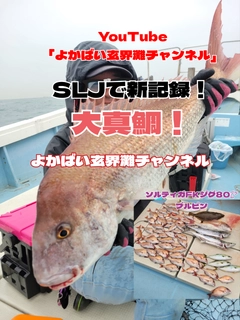 マダイの釣果