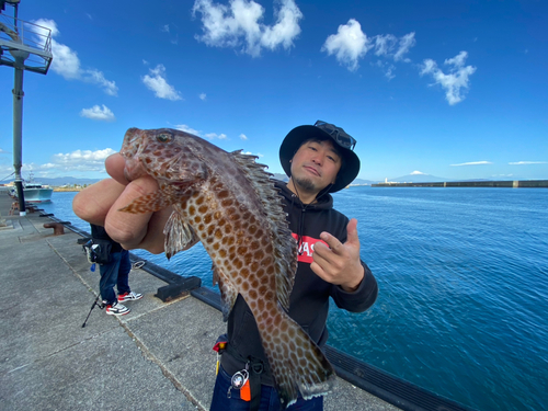 オオモンハタの釣果