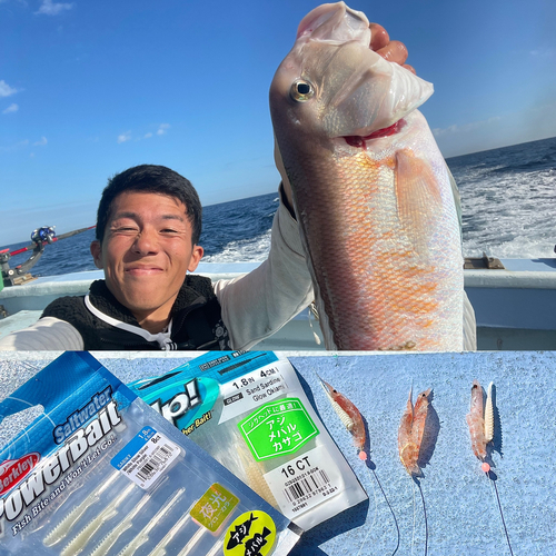 シロアマダイの釣果